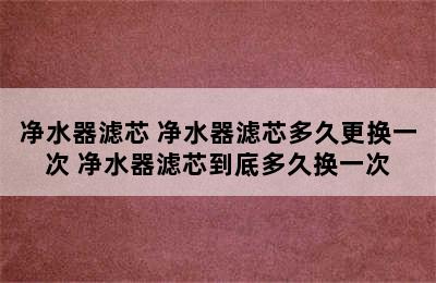 净水器滤芯 净水器滤芯多久更换一次 净水器滤芯到底多久换一次